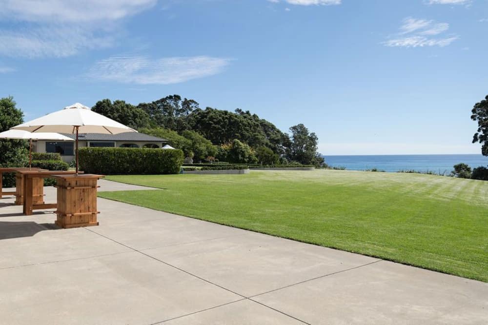 Photo of Others in Pitone