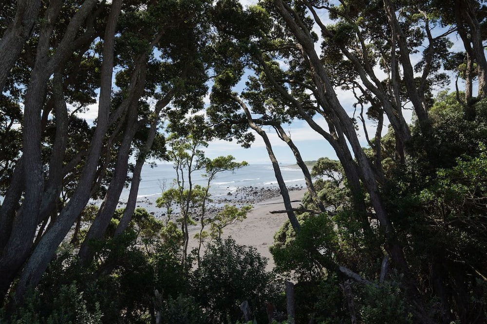 Photo of Others in Pitone