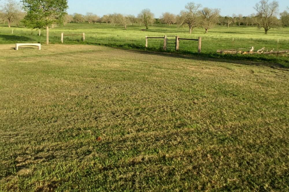 Photo of Outdoor in La Grange