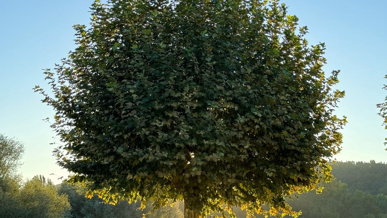 Photo of Outdoor in Boussens