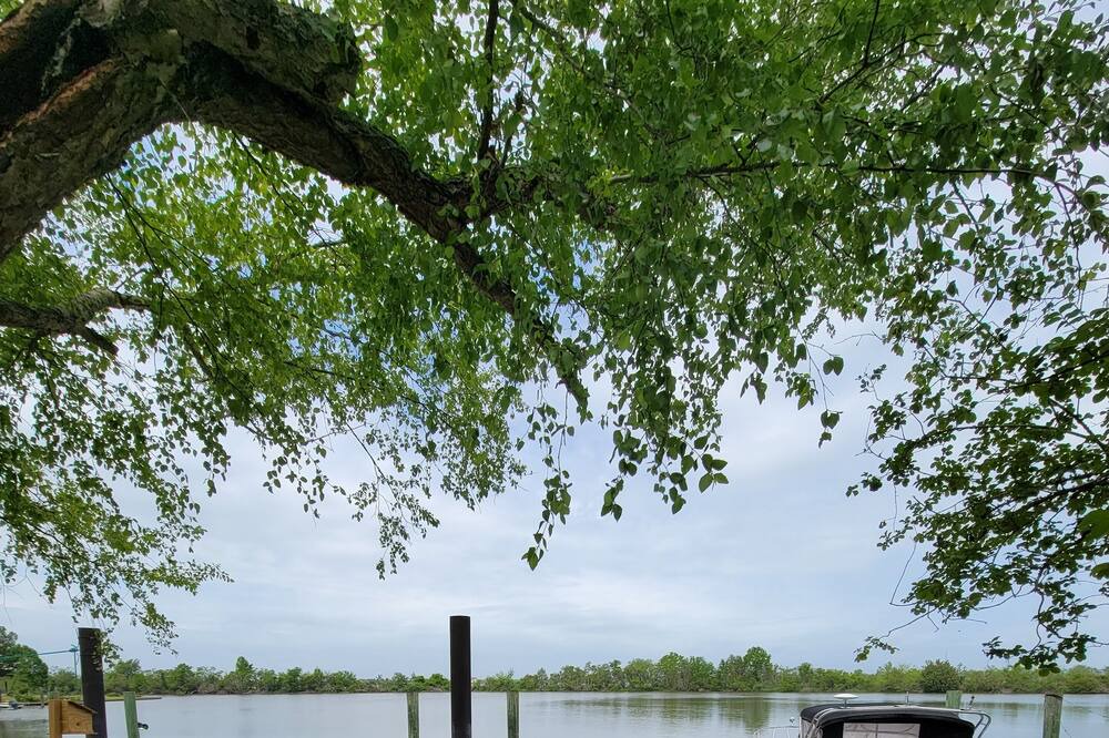 Photo of Outdoor in Madisonville