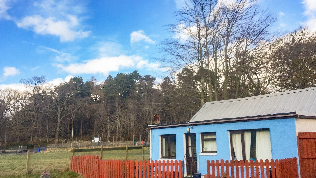 Photo of Outdoor in Contin