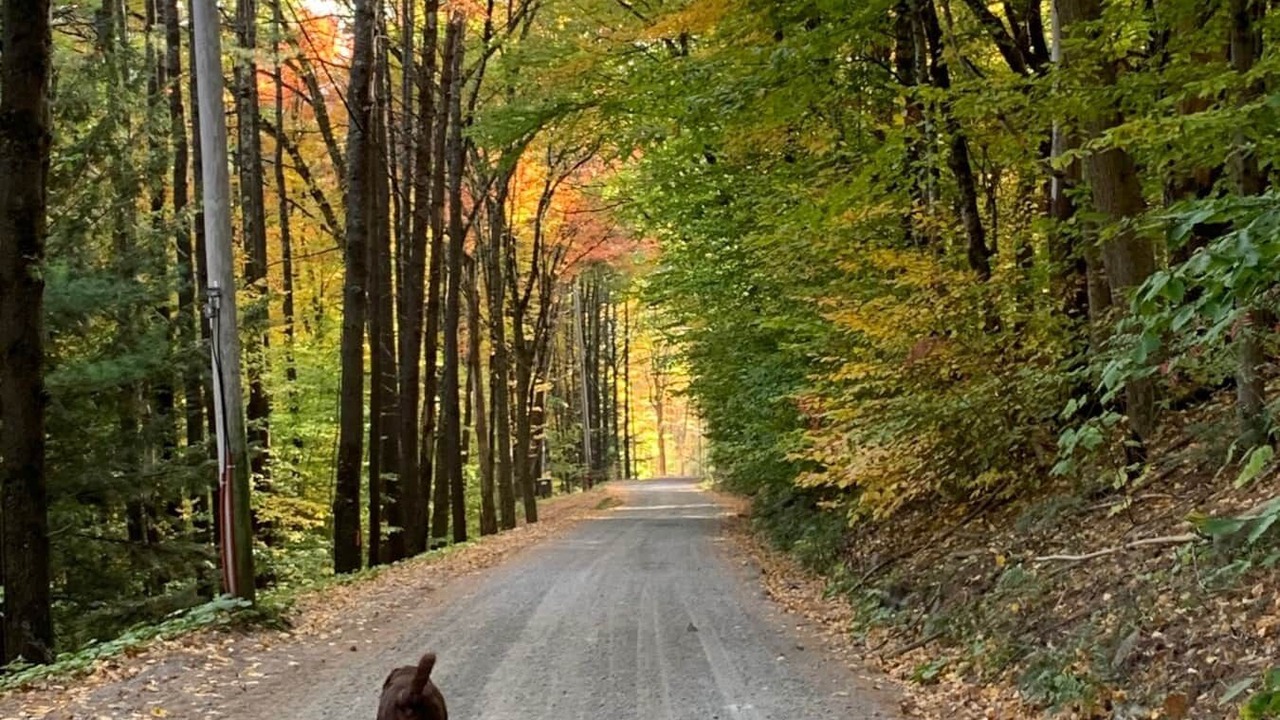 Photo of Outdoor in Fort Ann