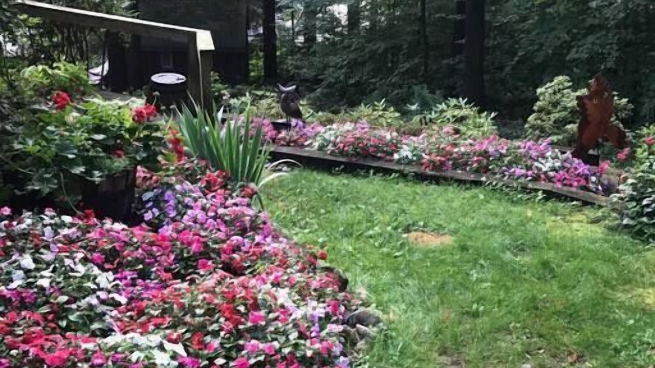 Photo of Outdoor in Fort Ann