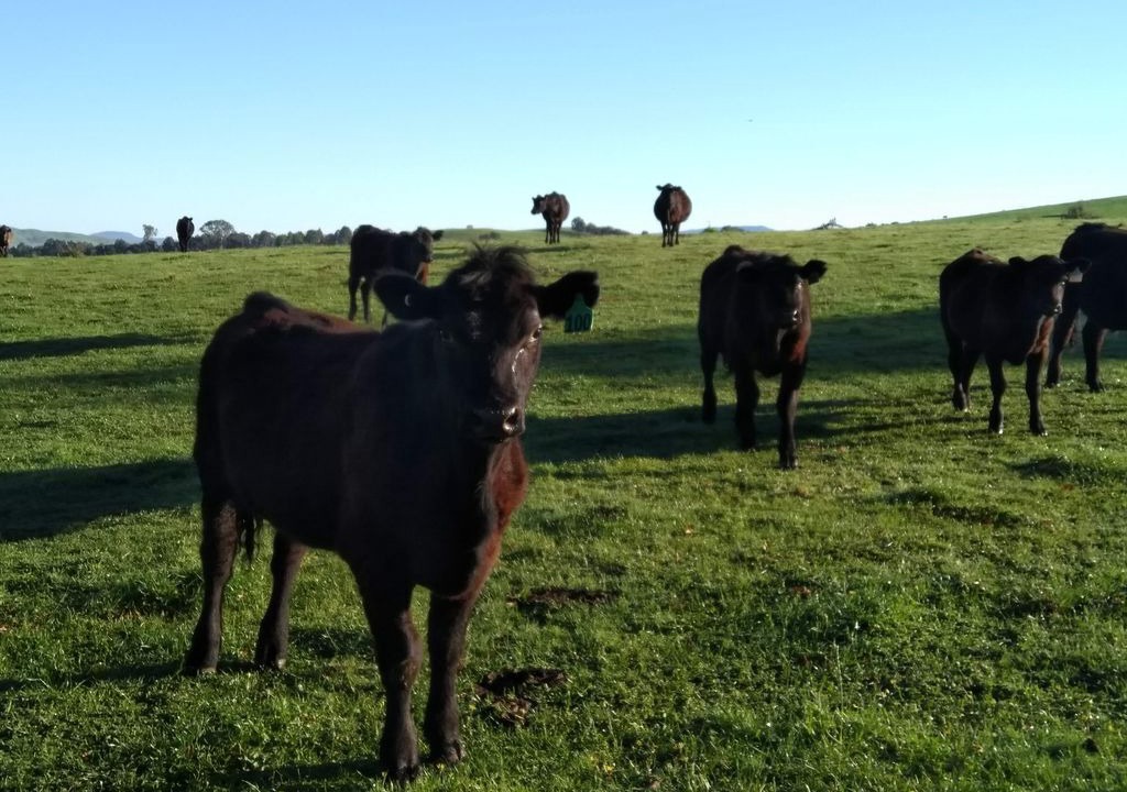 Photo of Outdoor in Boorolite