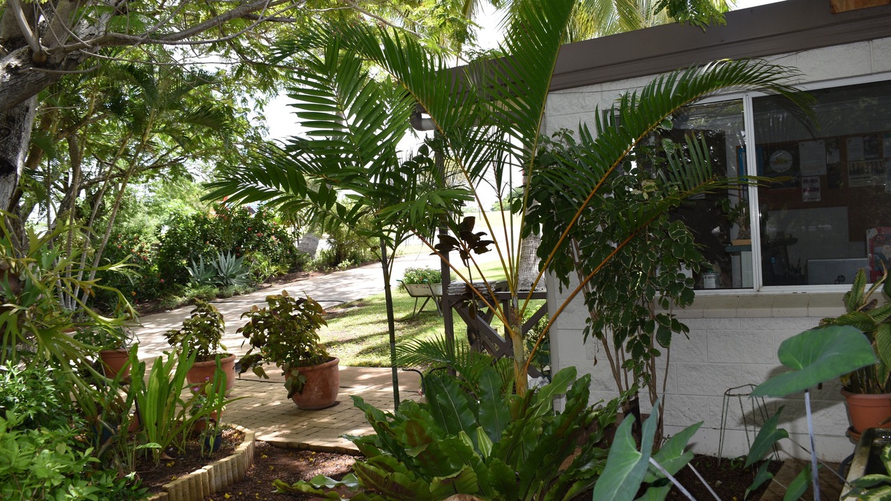 Photo of Outdoor in Richmond Hill