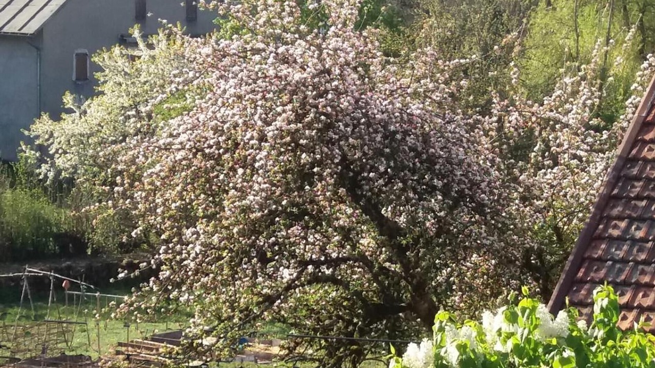 Photo of Outdoor in Brenod