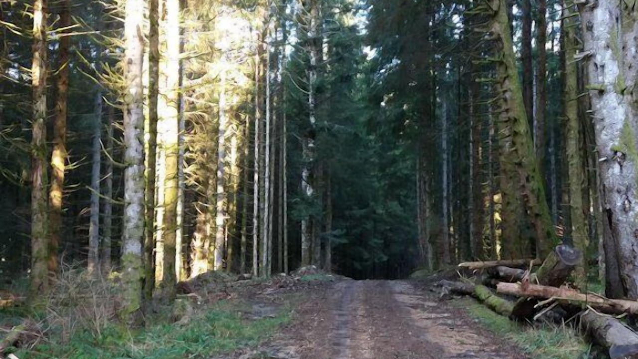 Photo of Outdoor in Brenod