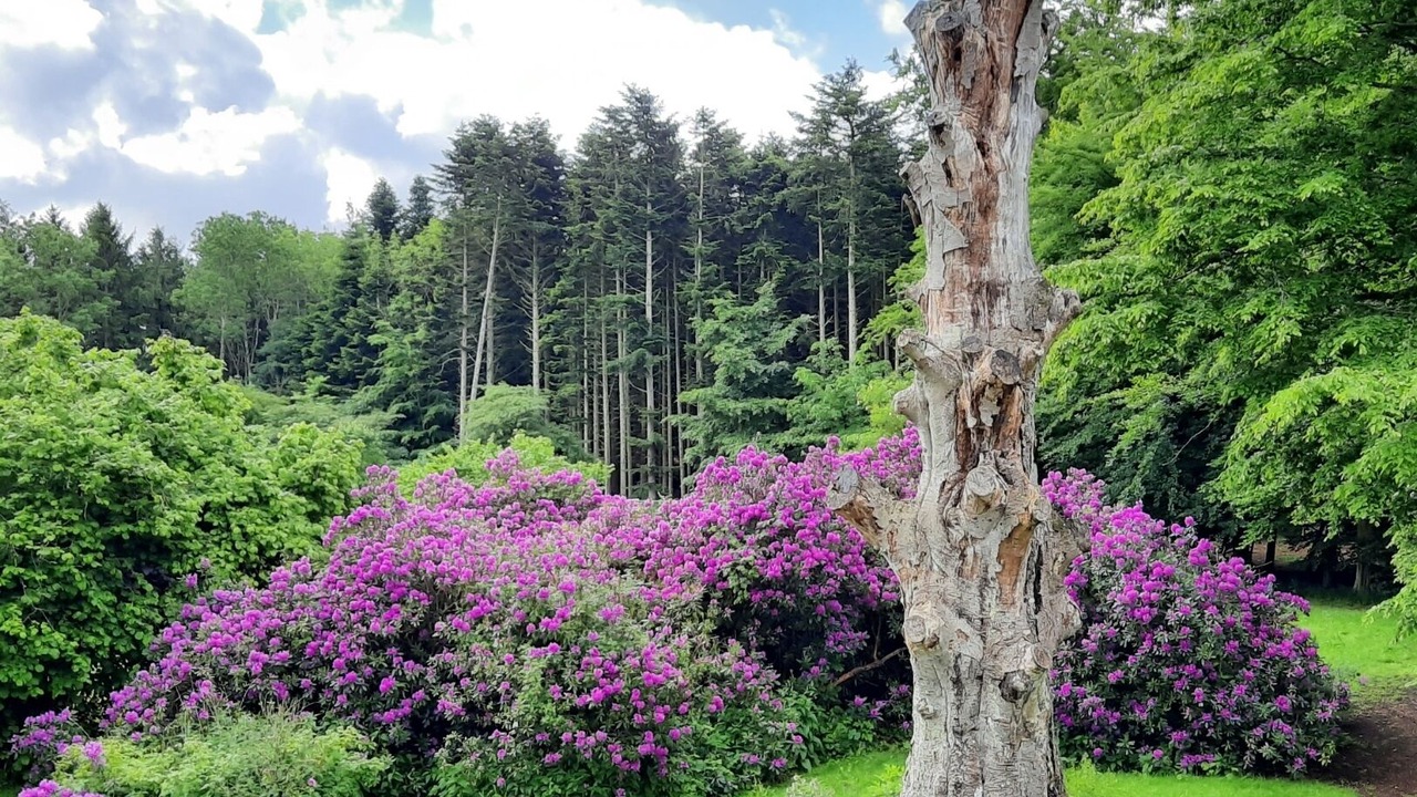 Photo of Others in Torrig