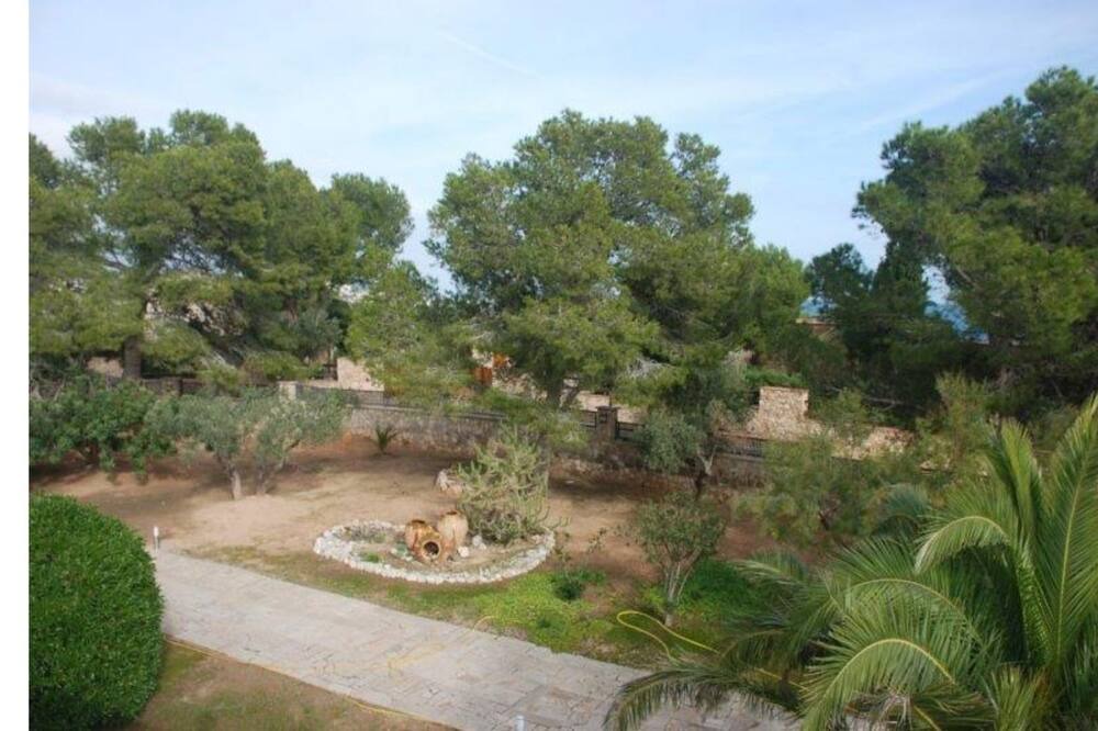 Photo of Outdoor in Roques Daurades