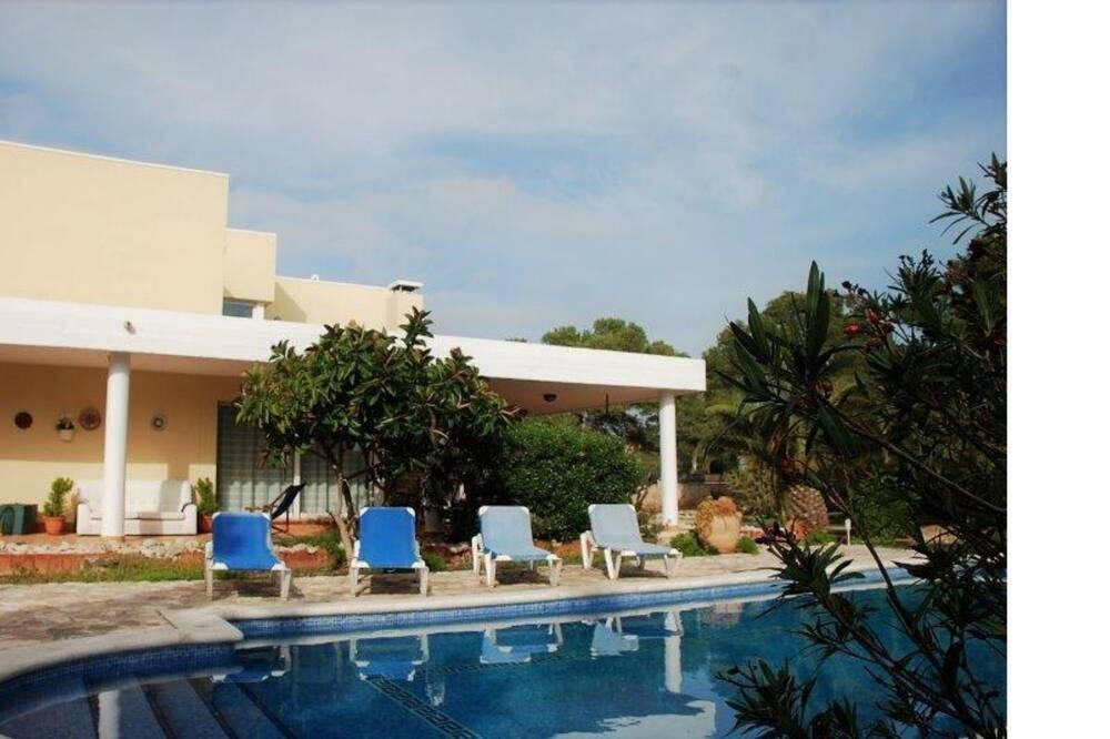 Photo of Outdoor in Roques Daurades