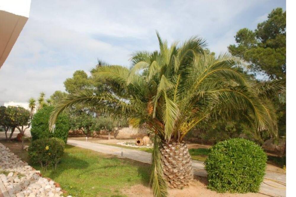 Photo of Outdoor in Roques Daurades