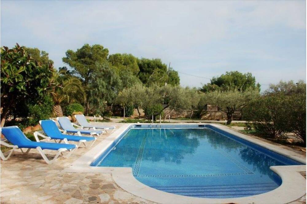 Photo of Outdoor in Roques Daurades