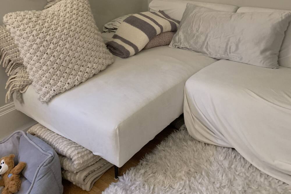 Photo of Livingroom in Pacific Heights