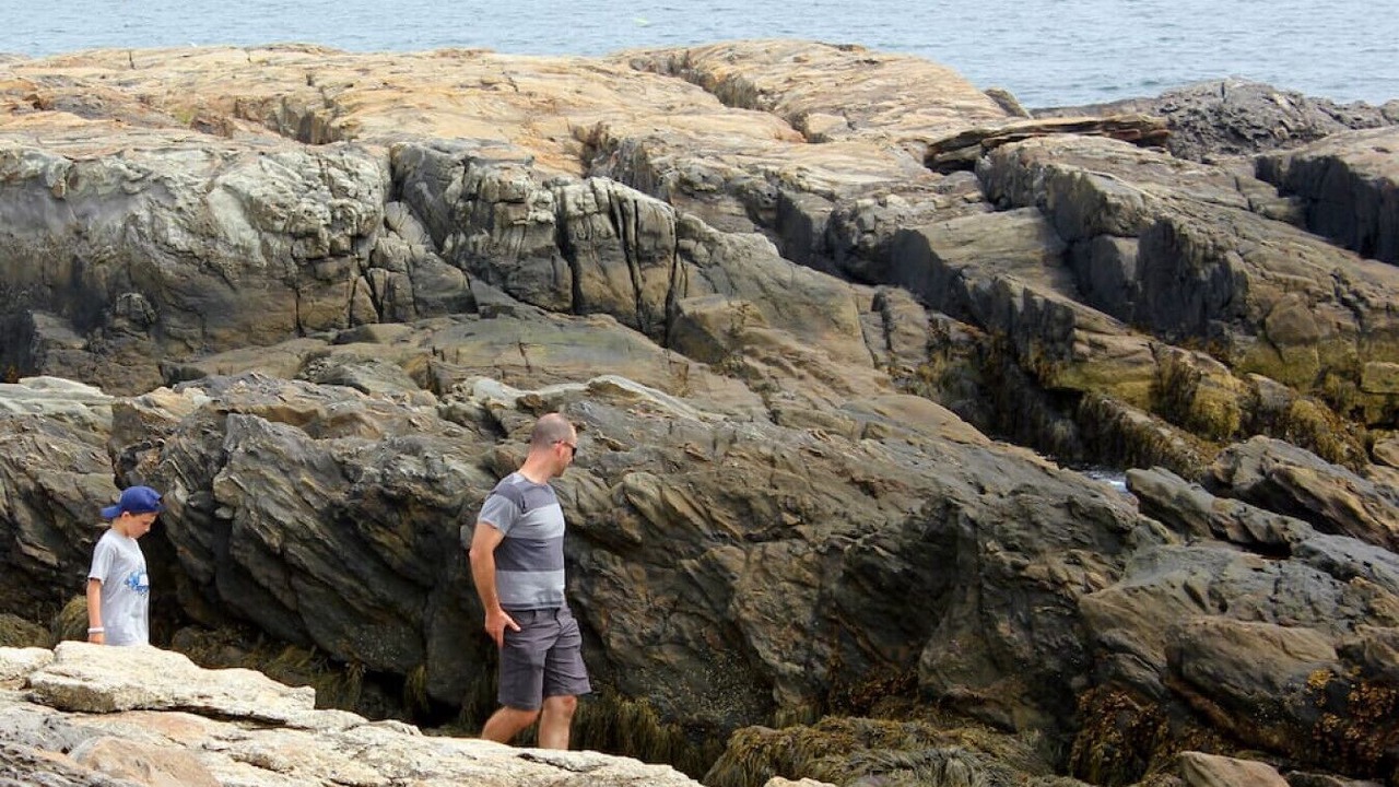 Photo of Others in East Boothbay