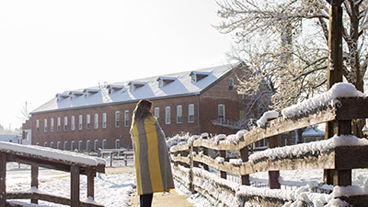 Photo of Outdoor in Amana