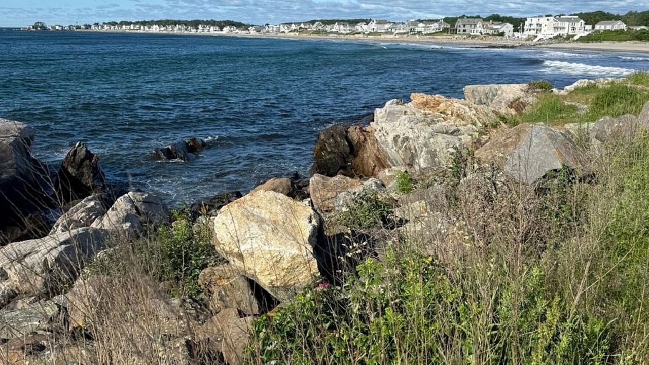 Photo of Others in Rye