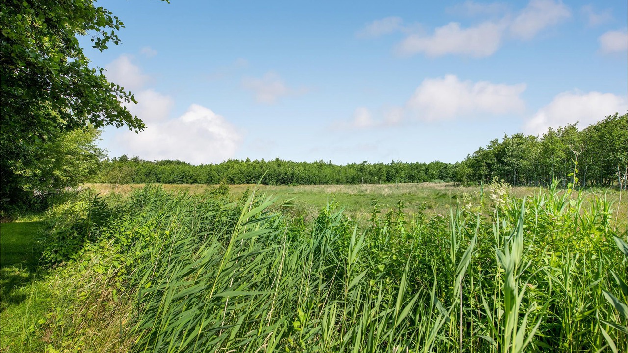Photo of Outdoor in Hejsager Strand