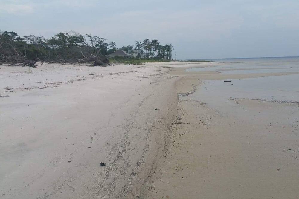 Photo of Others in Beaufort