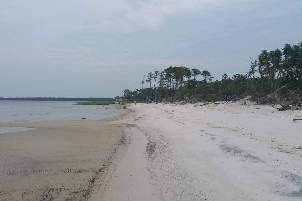 Photo of Others in Beaufort