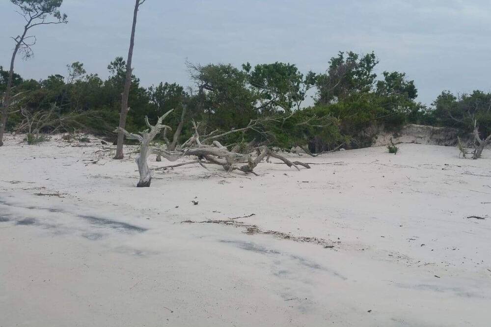 Photo of Others in Beaufort