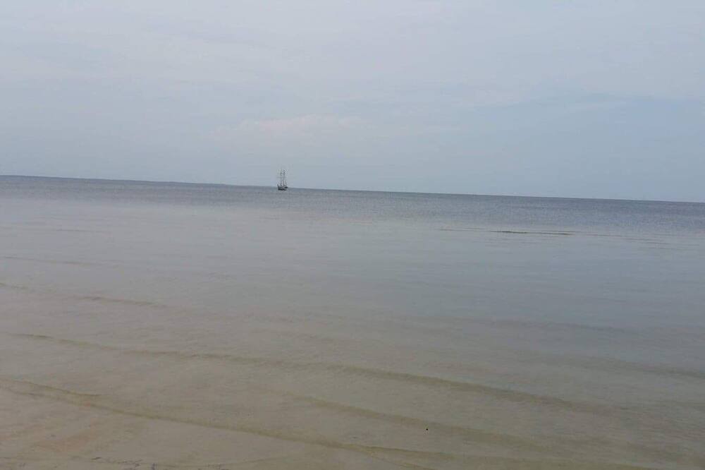 Photo of Others in Beaufort