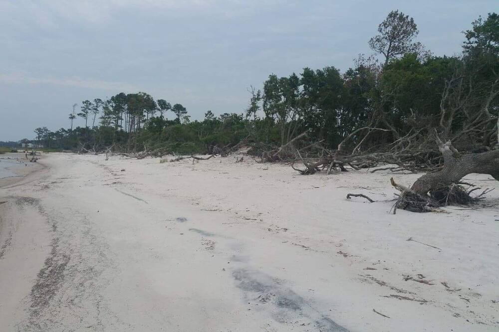 Photo of Others in Beaufort