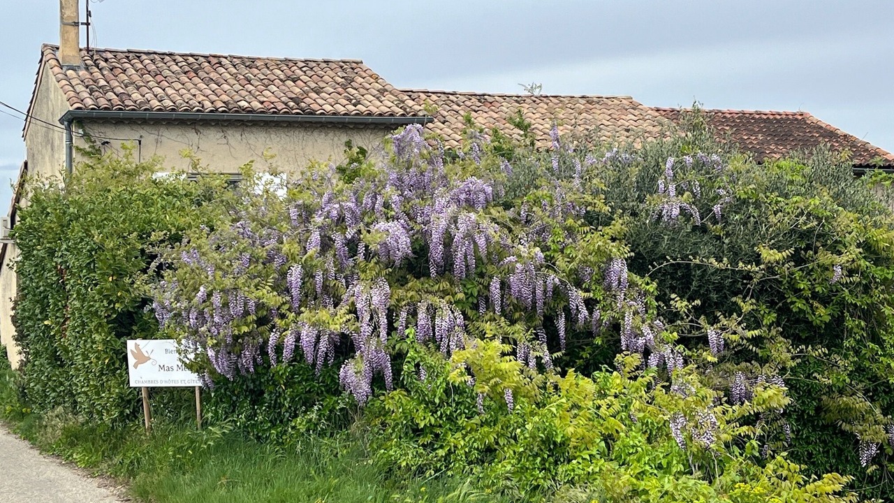 Photo of Outdoor in Orange