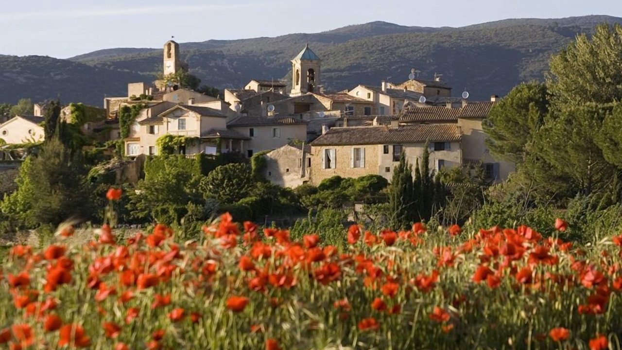 Photo of Others in Puget