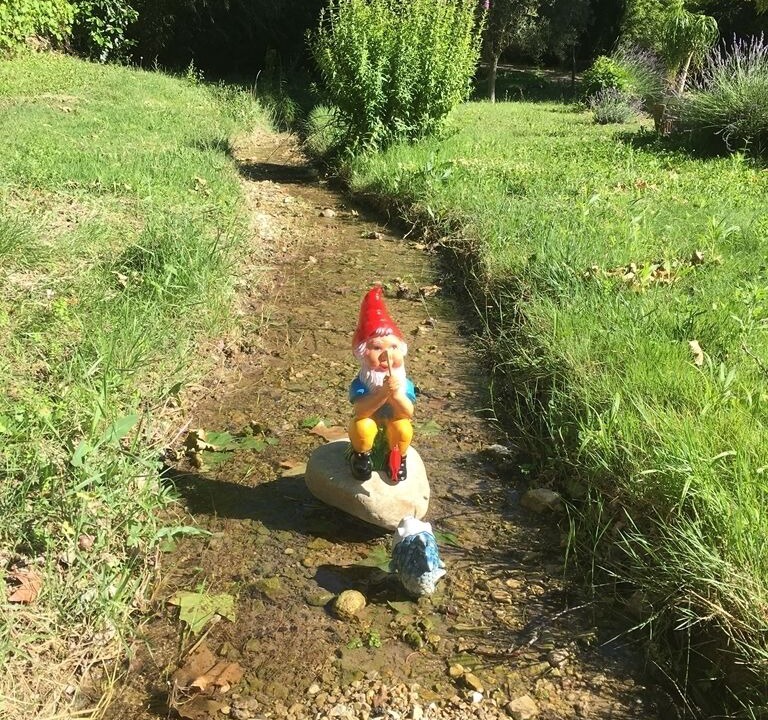 Photo of Outdoor in Puget