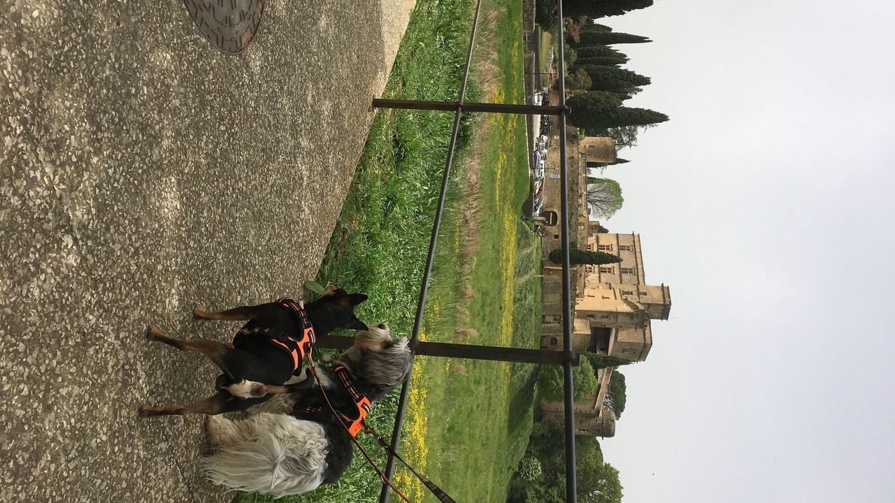 Photo of Others in Puget