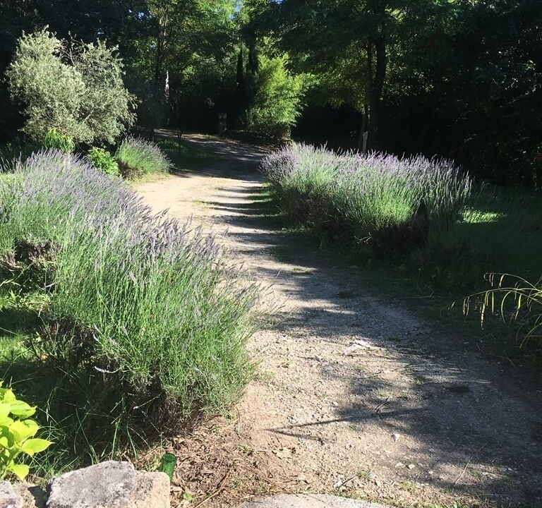 Photo of Outdoor in Puget