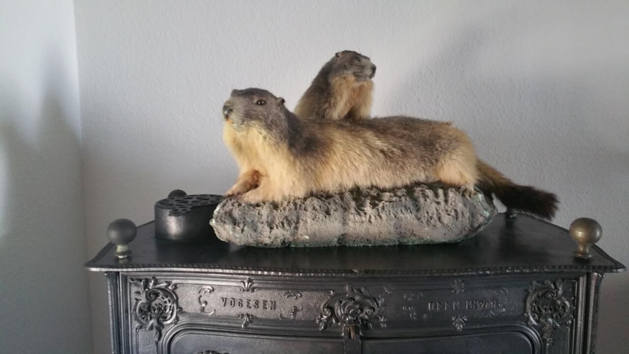 Photo of Others in Lixheim