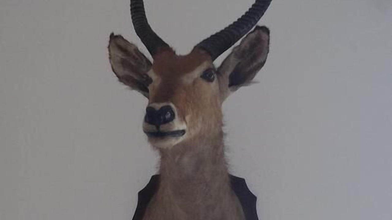 Photo of Others in Lixheim