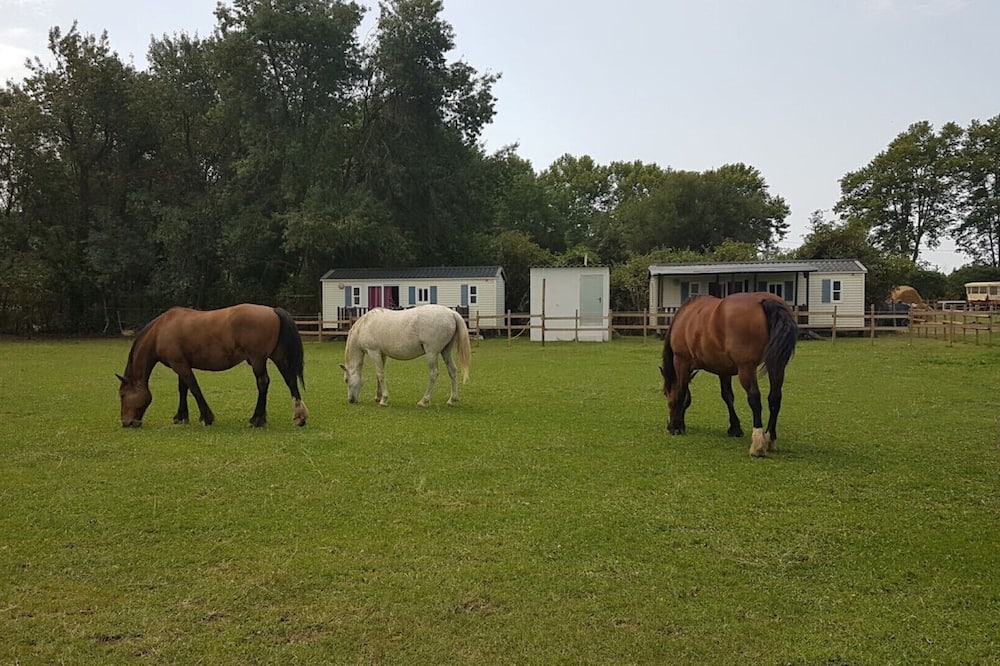 Photo of Outdoor in Le Cailar