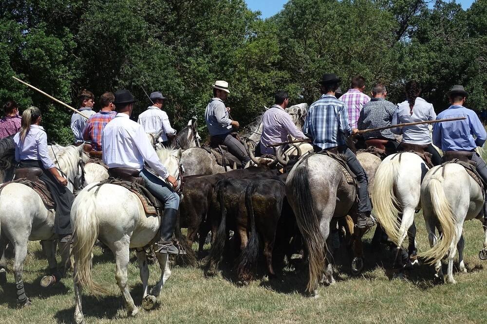 Photo of Others in Le Cailar