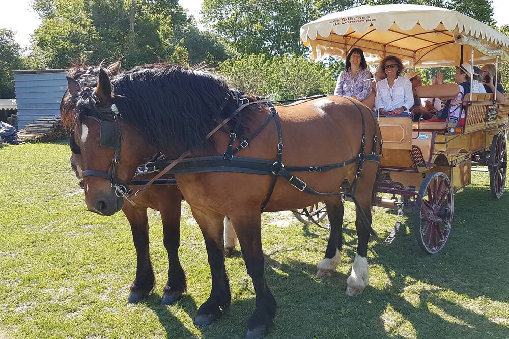 Photo of Others in Le Cailar