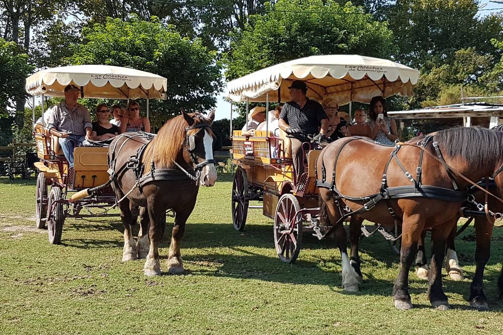 Photo of Others in Le Cailar