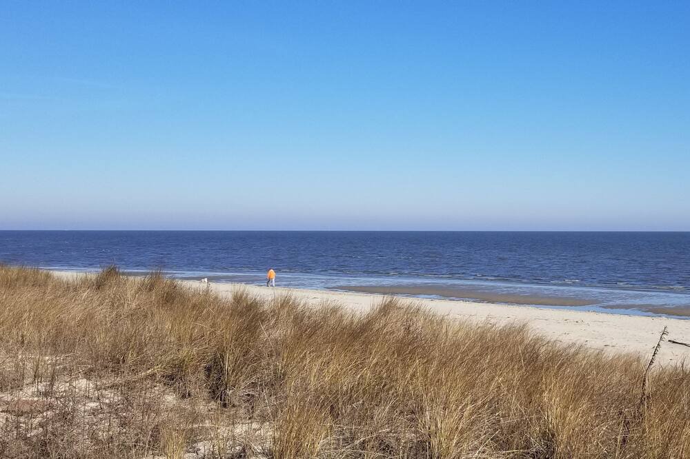 Photo of Others in Prime Hook Beach