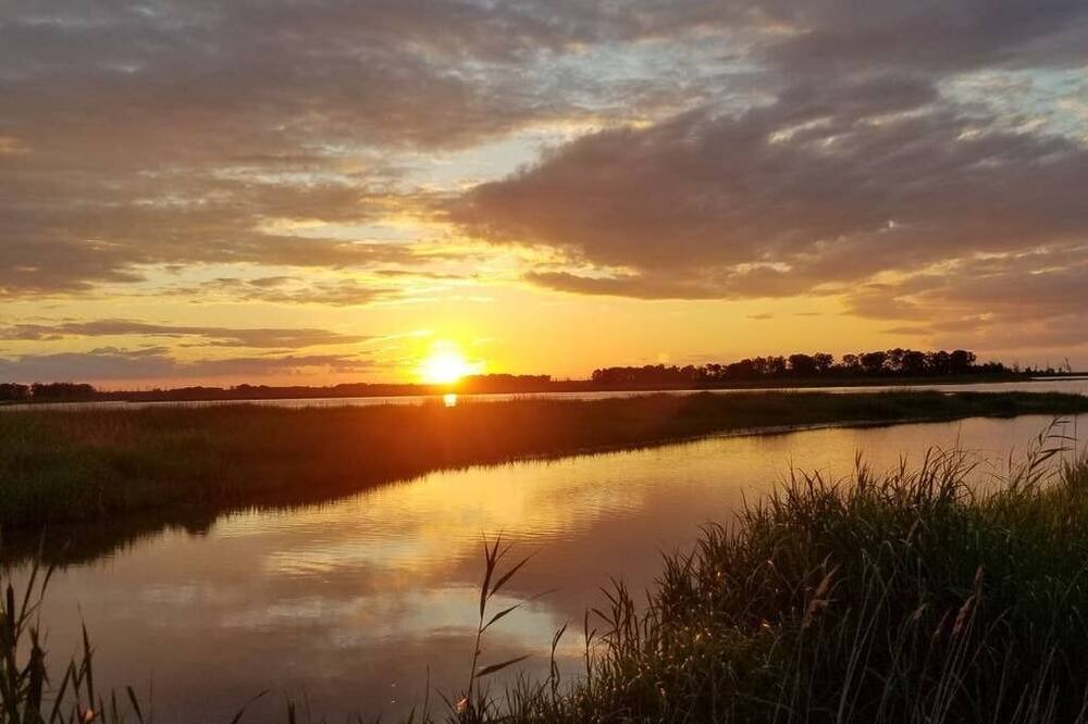Photo of Others in Prime Hook Beach