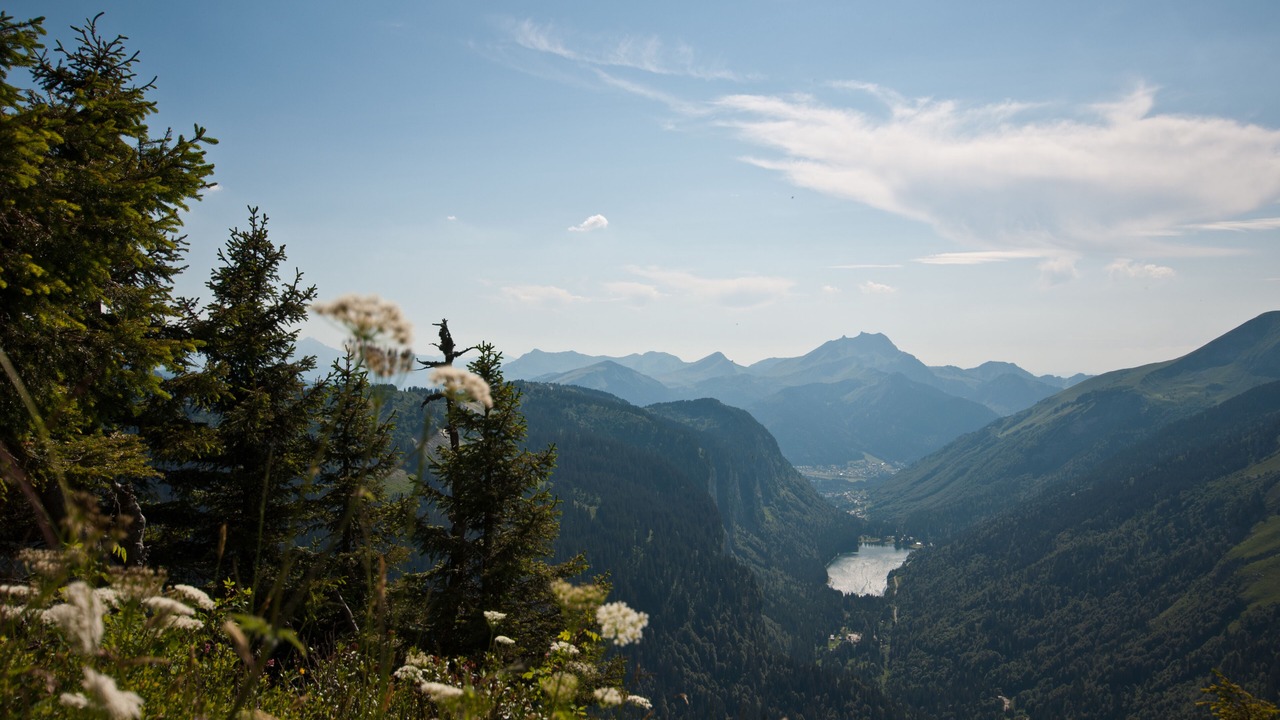 Photo of Others in Montriond