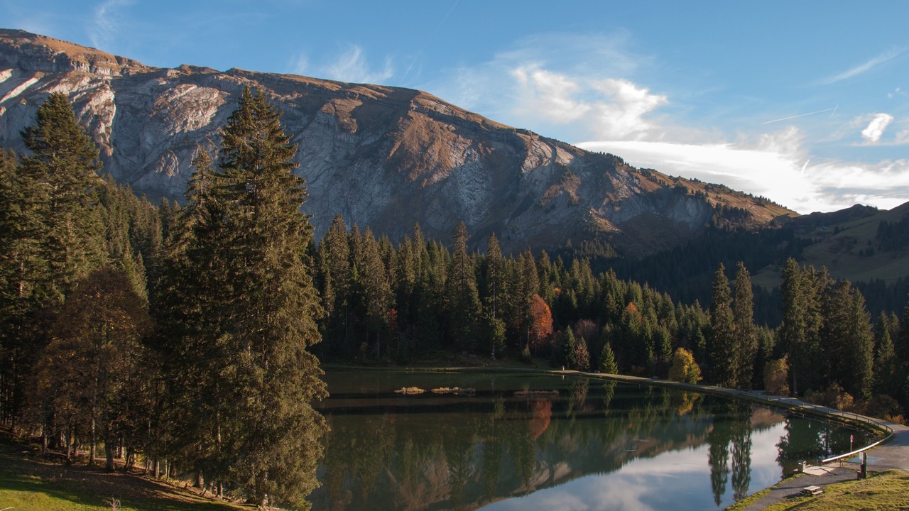Photo of Others in Montriond