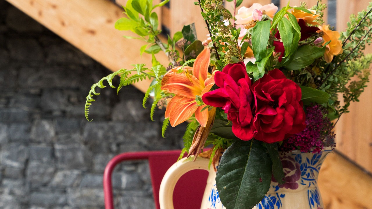 Photo of Outdoor in Montriond