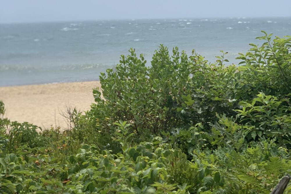 Photo of Others in Edgartown