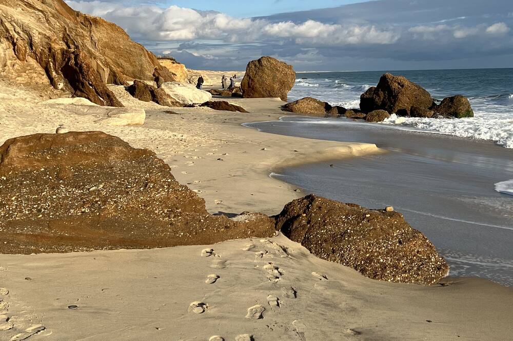 Photo of Others in Edgartown