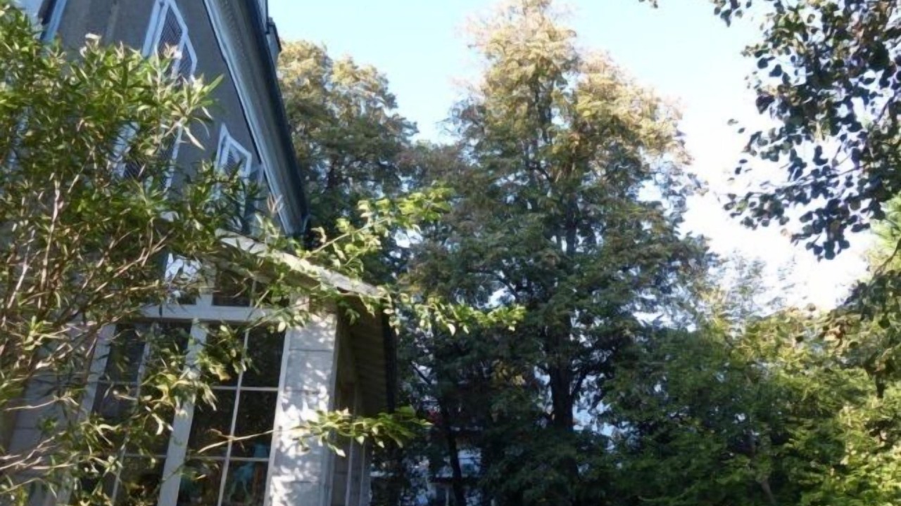 Photo of Outdoor in Dufau-Tourasse