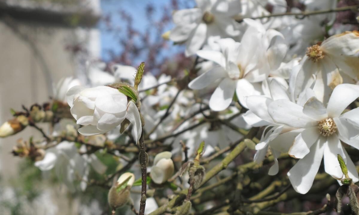 Photo of Outdoor in Dufau-Tourasse