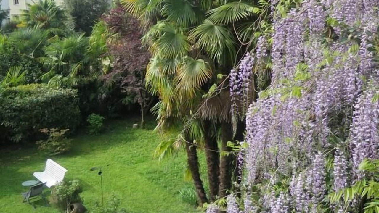 Photo of Outdoor in Dufau-Tourasse