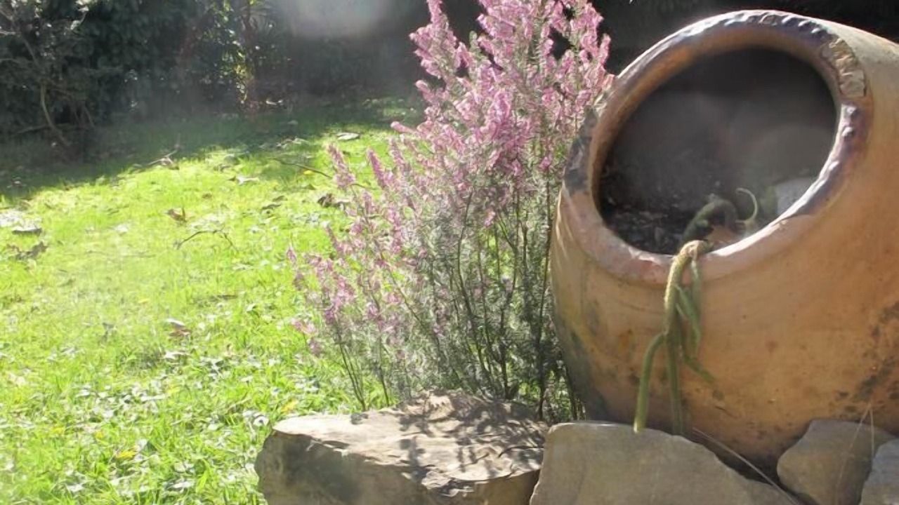 Photo of Outdoor in Dufau-Tourasse