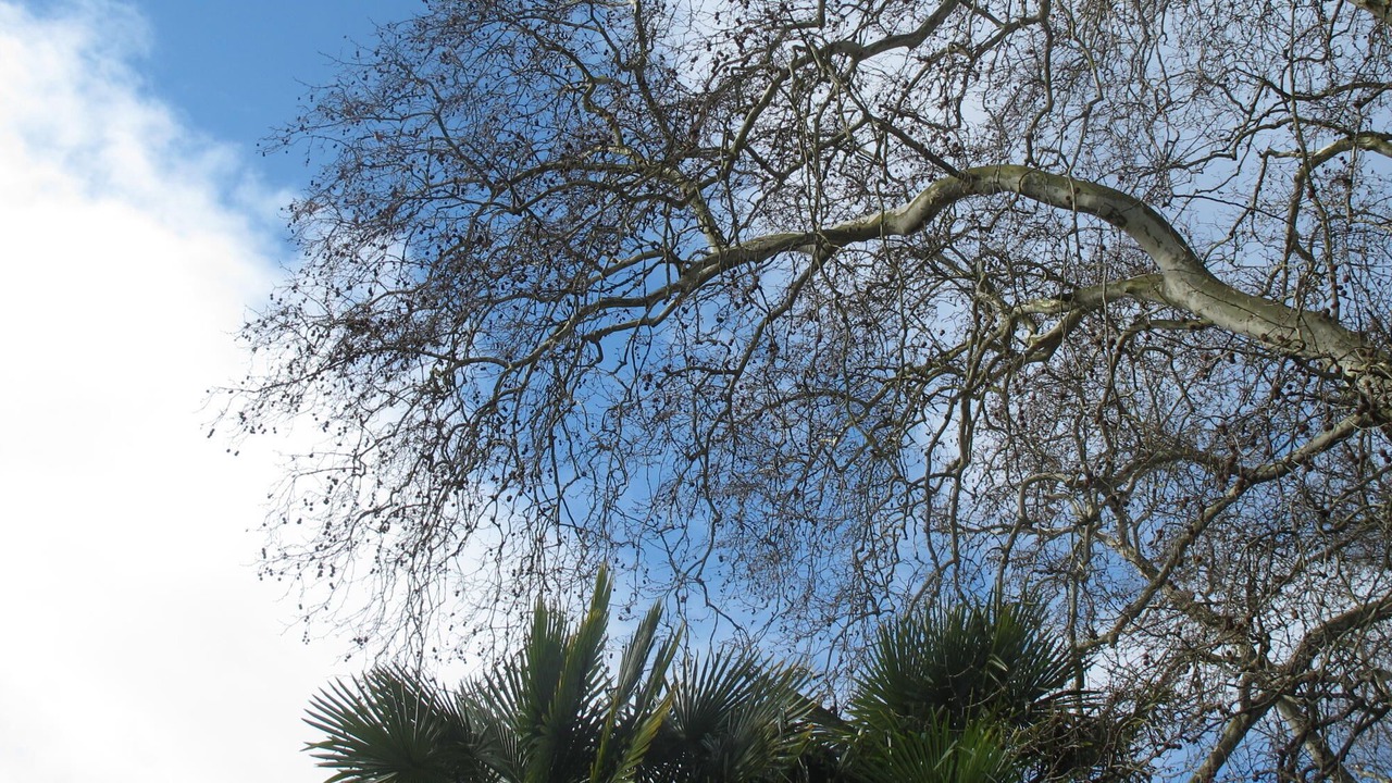 Photo of Outdoor in Dufau-Tourasse